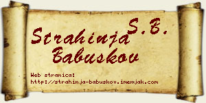 Strahinja Babuškov vizit kartica